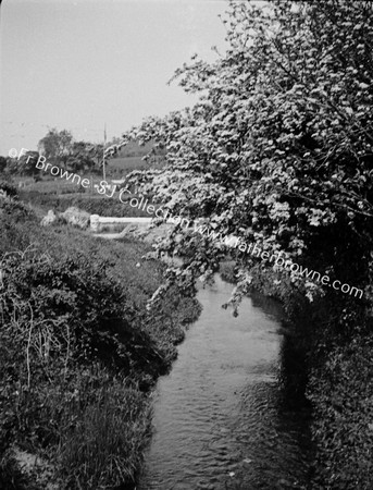 STREAM FROM BRIDGE